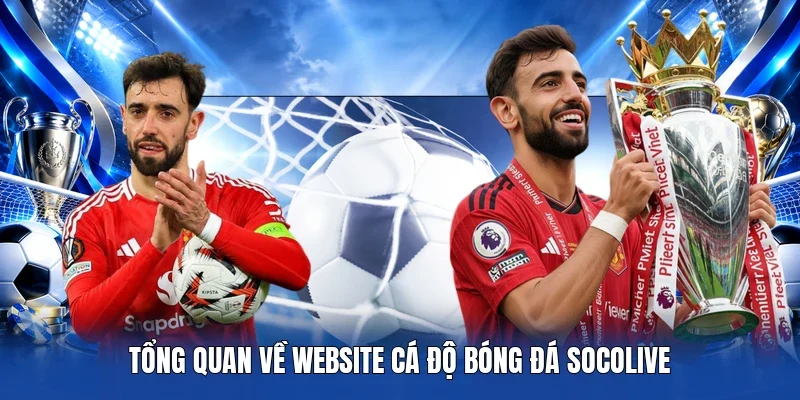 Tổng quan về website cá độ bóng đá Socolive